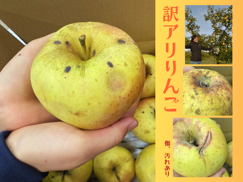 甘くてジューシーりんご　訳あり３kg