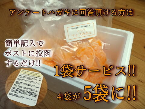 【アンケート付！増量分】暑い夏に！新冷凍みかんアイスが新登場！こだわり栽培の完熟みかんを瞬間凍結！10分の自然解凍で食べ頃！くちどけ滑らかな「とろ生アイスみかん💛」　約100g×5袋（計500g）
