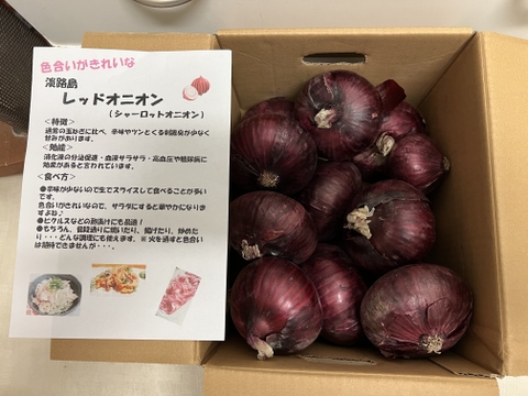 訳ありレッドオニオン❣️3kg〜玉ねぎ大国淡路島からの玉ねぎ