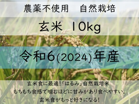 10kg　玄米食に最適！「はるみ」自然栽培米　農薬不使用　玄米 玄米食に最適「品種：はるみ」自然栽培米 10kg：神奈川県産のお