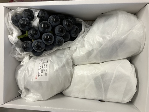 皮ごと美味しい！　ご家庭用ナガノパープル　2㎏