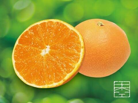みかん【早割お得SALE】愛媛産 まどんなサイズ混合5kg(12月出荷予定)