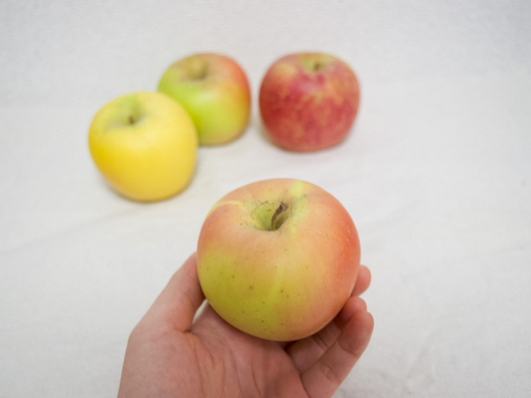 【お買い得】小玉りんご詰め合わせ（家庭用5kg・20～25玉）