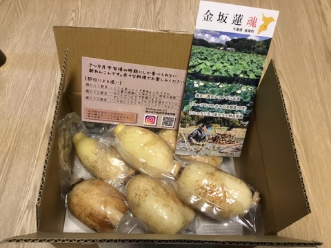 【夏れんこん】はね出し 自然栽培1kg 真空パック