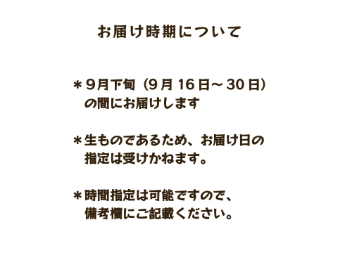 YN26（みかん）家庭用5kg｜和歌山で生まれた温州みかんの有望品種を産地直送でお届け