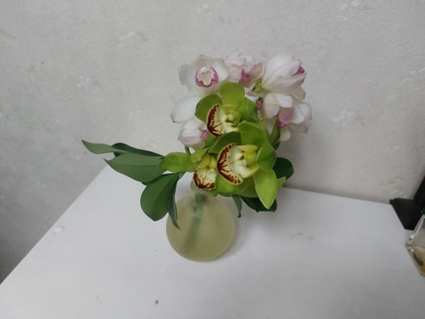 箱いっぱいの蘭・シンビジウムの切り花【アワード受賞福袋】いろいろな品種のシンビジウムが入るお楽しみ福袋