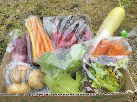 【無農薬!】びわ湖の水で育む有機野菜セット!【9~11品】
