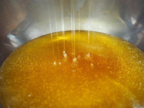 【期間限定】2025 春一番搾りはちみつ 300g