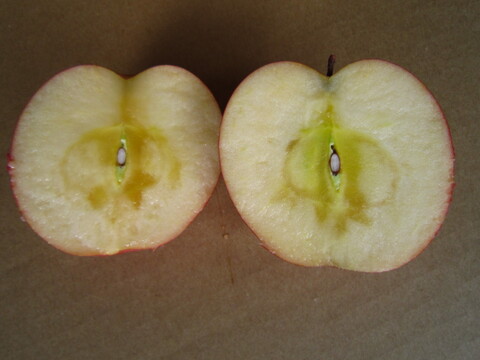 美味しい小玉 樹上完熟サンふじ 総重量 約4kg前後 青森県 南部地方産 自家りんご農園生産直送品！