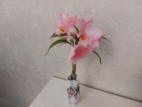 夏の蘭フォーミディブルの切り花