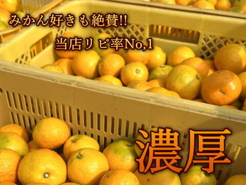 【２箱まとめ買い】大感動！糖度16度越え！魔法のみかんと話題！こんなにみかんって甘いんだ！極早生みかん「ゆら早生」の最高峰！薄皮と濃厚な味わい「ゆらりん」お試し品２ｋｇ２箱セット【225-2k-2】