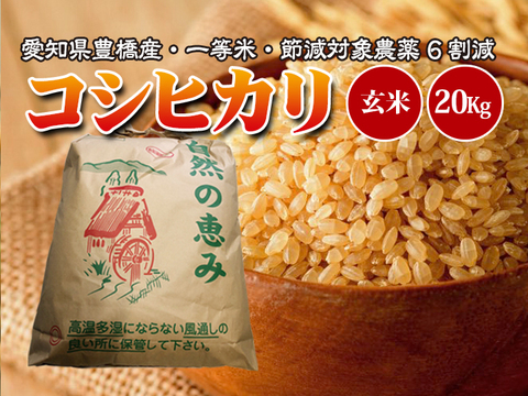 【節減対象農薬6割減・一等米】コシヒカリ 玄米20g(10kg×2袋)【令和2年・愛知県産】