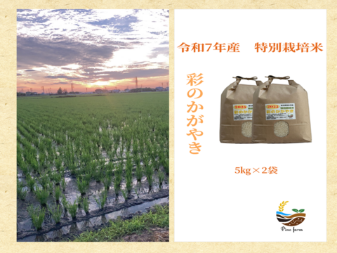 R7年産特別栽培米  彩のかがやき　10㎏