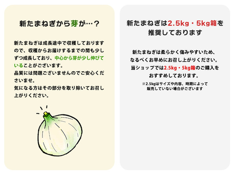 淡路島産新たまねぎ 10kg 兵庫県認証食品