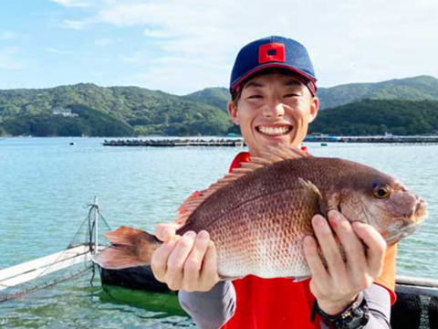 【皮まで旨味がたっぷり！】炙るとトロける甘味、弾ける旨さ！お酒必須のブランド鯛！＜３枚下ろし・皮あり＞