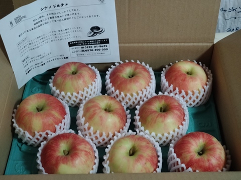 食べ応え抜群 シナノドルチェ 3キロ箱6玉〜15玉サイズ 商品ID41173 長野県 信州 安曇野 リンゴ 幻 幻のリンゴ 予約 希少 旬