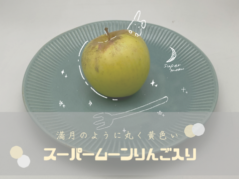 【冬季限定⛄】訳あり小玉りんご🍎家庭用3kg【スーパームーンりんご1個付き】