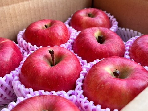 幻の蜜りんご‼️山形県産こうとく【秀3キロ】