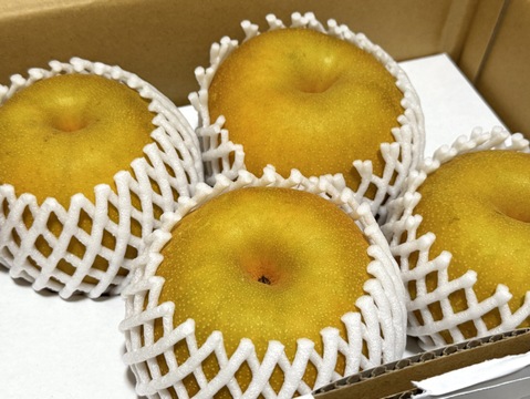 【幸水梨 大玉】甘い‼️まるで梨ジュース✨️贈答用約2.5kg (4~6個入) ひとつひとつ色付きを確認して樹上完熟で収穫します😋鮮度を保つため早朝に収穫しクール便でお届け🚚【夏ギフト】