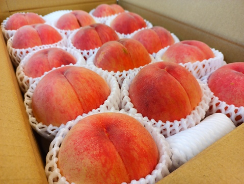 【訳ありB品】お買い得！品種おまかせ　大箱13〜16玉（約４.５kg）【7月15日頃〜8月10日頃まで販売】
