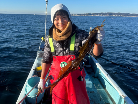 ~朝採れ新鮮~【生わかめ】寒い日はしゃぶしゃぶで！！(1kg/7~8人前程度)