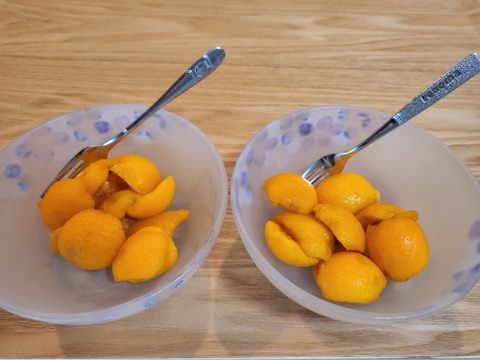 袋掛け栽培！愛知弥富びわ『茂木』12～18ヶ入り×2P　専用化粧箱入り