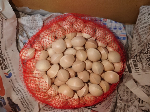 2025年 茨城県産  銀杏：藤九郎　銀杏  500g