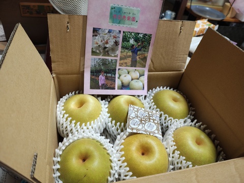 鳥取産　幸水梨（2.5㎏）