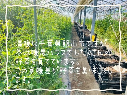 期間限定♪『カラフルスティック人参3色合計1.8キロセット』【クール便】