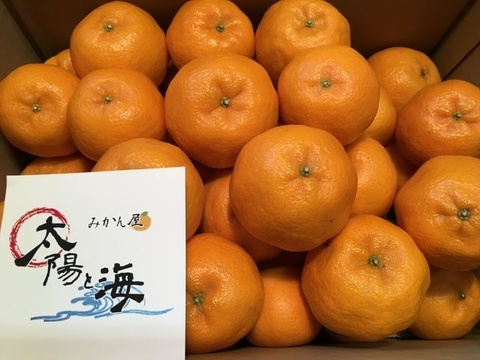 今津ポンカン☆5Kg・デコポン5Kg