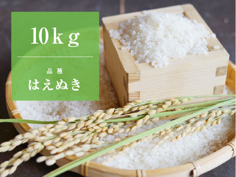 山形県産はえぬき（10kg） 令和7年産：精米
