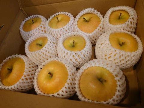 赤果肉りんご　きらめき✨