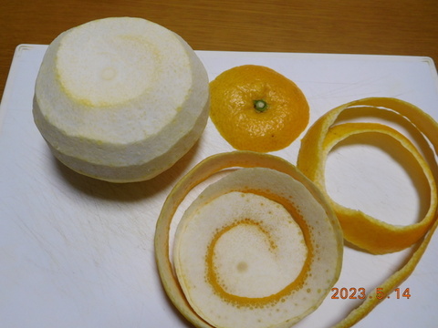 🍊伊豆ﾆｭｰｻﾏｰｵﾚﾝｼﾞほか「初夏の味覚/お楽しみ柑橘５種セット」　ご家庭で・ご贈答に/正味4.5㎏