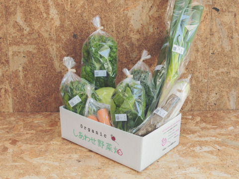 旬の有機野菜Lセット　しあわせ野菜畑（有機JAS）
