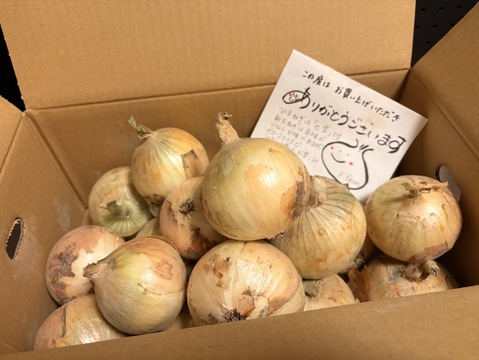 甘くてシャキシャキ‼️人気の新玉ねぎ『七宝』🧅約5kg：兵庫県産の七宝