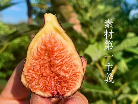 〈メール便〉砂糖不使用　黒ドライいちじく　国産ドライいちじく　静岡産　牧之原市ふるさと納税品に採用　180g（Mitsuricchi®製法）メール便　静岡県産　国産