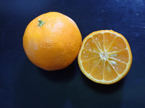 【ご家庭用】もぎたて 姫レモン 約1.6㎏