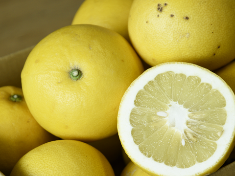 プリプリとした食感と爽やかな甘み　文旦（ぶんたん）【家庭用(訳あり)】[5kg]　336-3