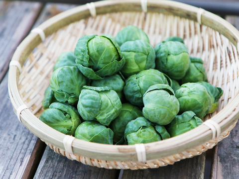 【今だけお得に販売！】葉が柔らかく食べやすいケール カーボロネロ1kg＆【お得！サイズバラバラ】芽キャベツ（1kg）規格外野菜 静岡県磐田市産