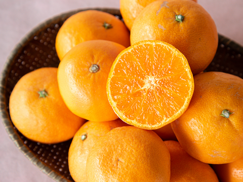 コクのある味わい　カラマンダリン【家庭用(訳あり)】[5kg]　326-3