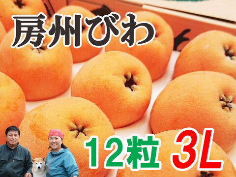 6月上旬～中旬発送『房州びわ/枇杷 3Lサイズ12個入り』南房総市産の大実の枇杷を農家から