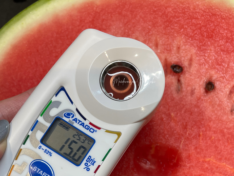 羅皇ザ・スウィート ７kg まえだの初夏すいか 定番の赤い大玉 シャリ感強めの甘いすいか