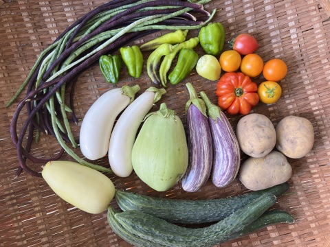 自然農 野菜セット🍀【農薬･肥料･ビニールマルチ不使用／固定種】