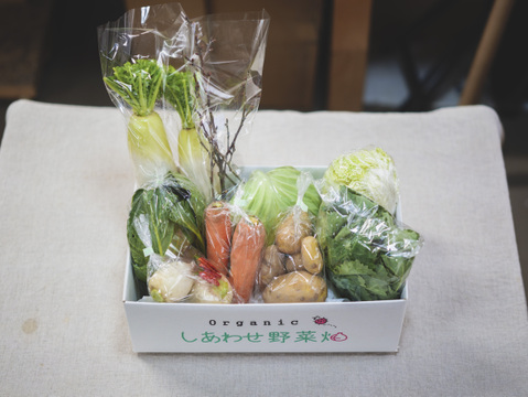 旬の有機野菜Mセット　しあわせ野菜畑（有機JAS）