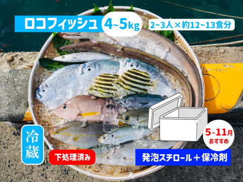 下処理⇒即日発送！ロコフィッシュ鮮魚ボックス4~5kg【発泡スチロール箱】