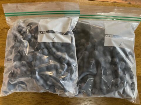 【期間限定値下げ】ジャムを作ろう！健康生活！お値打ち冷凍ブルーベリー（500g×2パック）【栽培期間中農薬不使用】