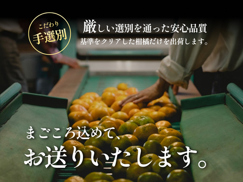 皮まで食べられる】愛媛レモン 2kg【防腐剤・ワックス不使用】家庭用