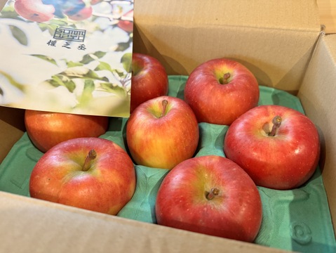 青森県産りんご　蜜たっぷり葉とらず高徳　家庭用【2㎏　5～10個入り】