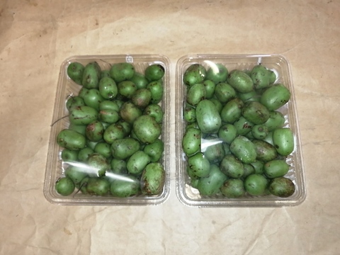 【栄養満点】珍果サルナシ　選別なし約１kｇ