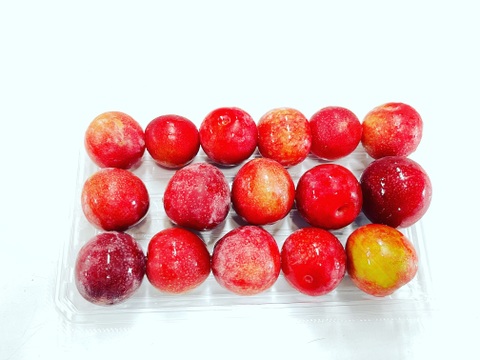 【冷凍】　自然栽培　ミラベル　非常に珍しいフランスの果樹　プラム　すもも　フランス 約２kg